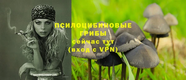 Альфа ПВП Няндома