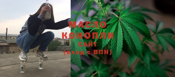 шишки Осташков