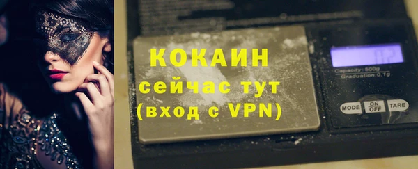 шишки Осташков