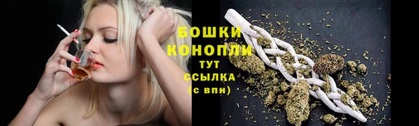 шишки Осташков