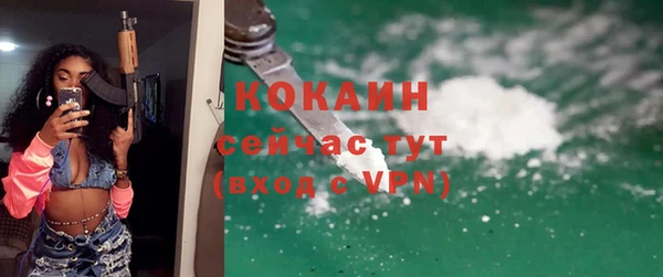 шишки Осташков