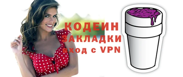 шишки Осташков