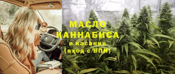 шишки Осташков