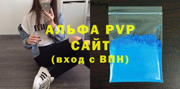 шишки Осташков