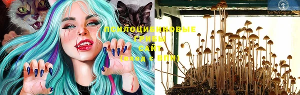 шишки Осташков