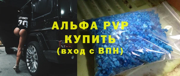 шишки Осташков